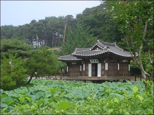 연잎에 둘러싸인 활래정의 모습 